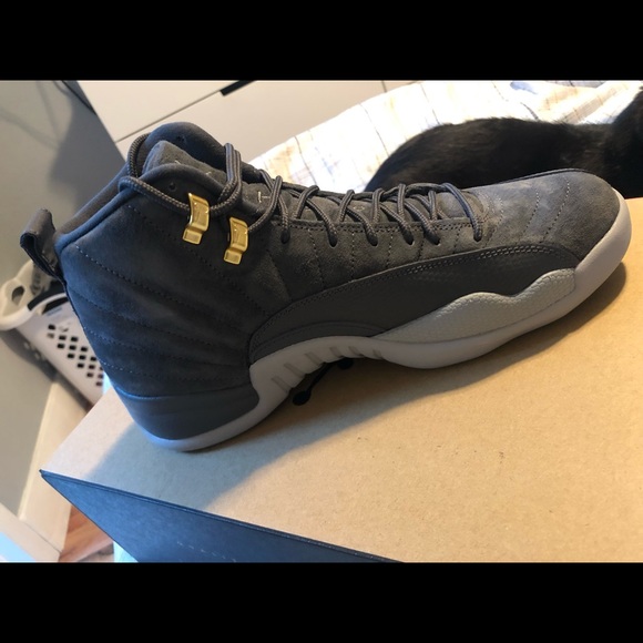 Nike Other - Air Jordan 12 Retro